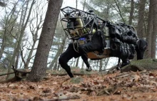 Eksperci ostrzegają: uwaga na autonomiczne roboty