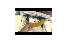 Czy banan może zastąpić komórkę, a karton od pizzy laptopa?
