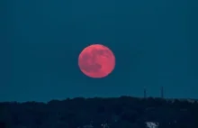 Truskawkowy księżyc: co to za zjawisko i kiedy można zobaczyć?