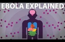 The Ebola Virus Explained [ENG]