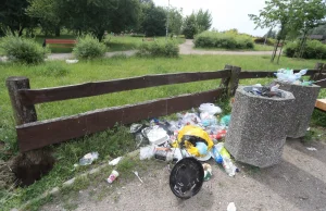 Szczecin: Kłamali, że sprzątają w parku międzyosiedlowym. Teraz zapłacą karę