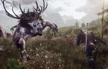 CD Projekt RED o animacjach w dodatkach do Wiedźmina 3