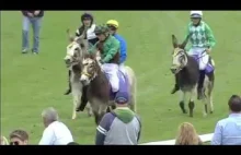 Hilarious Donkey Derby Racing 2016 in UK