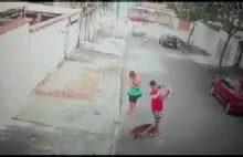 Mężczyzna ratuje dziecko, które zostaje zaatakowane przez doga