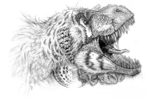 Wszystko co chcielibyście wiedzieć na temat Tyranozaurów | Czas Tytanów
