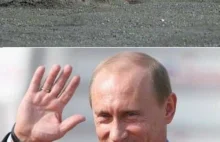 Władimira Putina lubią nie tylko Rosjanie...