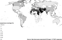 Mapa pokazująca odsetek małżeństw pomiędzy osobami spokrewnionymi ze sobą