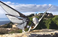 Zwykłe drony to przeszłość. Tak wygląda MetaFly, bioniczny dron...