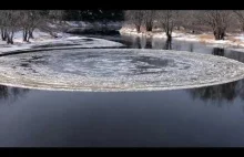 Pływający dysk lodowy
