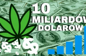 Sprzedaż marihuany w USA - w tym roku nawet 10 miliardów dolarów.