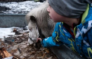 Życie w mieście, które się wali: "Tutaj kiedyś stał mój dom"