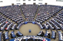 PE chce zakazu działalności grup neofaszystowskich w UE