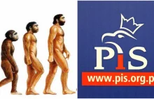 PiS chce usunąć teorię ewolucji z wymagań dla uczniów