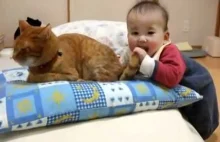 Cierpliwy kot i dziecko