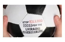 Szczekająca piłka w obronie zwierząt zabijanych przed Euro 2012