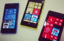 Microsoft udostępni bezpłatnie Windows Phone i Windows RT?