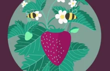 Ciekawy program pomocy polskim pszczołom
