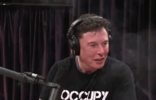 Elon Musk pali marihuanę podczas wywiadu z Joe Roganem.