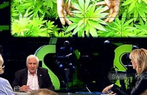 Marihuana lekarstwem nie narkotykiem