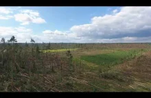 Wiatrołomy w Suszku, film obrazujacy zniszczenia w lasach.