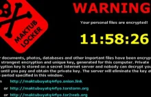 Ransomware - zapis rozmowy ze złodziejem i ciekawe badanie