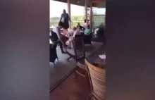 Kelnerka wyciąga ogromną jaszczurkę z australijskiej restauracji