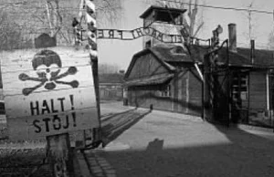 79 lat temu Niemcy dokonali pierwszej egzekucji w KL Auschwitz