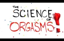 Naukowo, ale i przystępnie o orgazmie