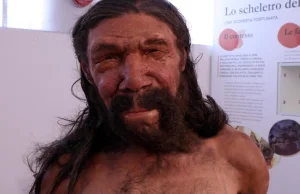 Neandertalczycy: kanibale i wytwórcy narzędzi z kości zmarłych