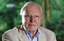 David Attenborough - Ludzie są plagą na Ziemi