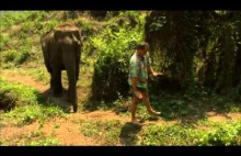 Boso przez świat - Słoń domowy