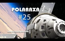 Polaraxa #25