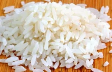 Uprawy ryżu w PRL-u