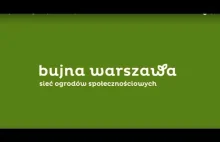 Jak zaprojektować ogród permakulturowy (zgodny z naturą) - nagranie webinaru