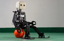 OpenSource'owy robot NimbRo-OP