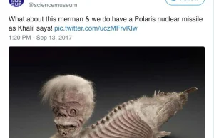 Londyńskie Muzeum Historii Naturalnej i Muzeum Nauki kłócą się na Twitterze...