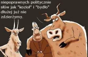 Grymasy politycznej poprawności