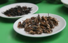 W Łodzi powstaje restauracja z insektami