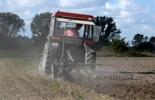 Dopłaty bezpośrednie: polski rolnik dostaje mniej niż Belg, Grek czy...