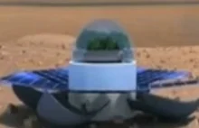 Automatyczna farma do hodowli szpinaku na Marsie