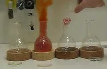 Reakcja 4 metali z kwasem azotowym