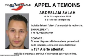 Schwytany Salah Abdeslam planował kolejne zamachy