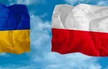 Ukraiński IPN: Naszym celem nie jest pojednanie z Polakami