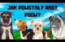 Jak powstały RASY PSÓW?