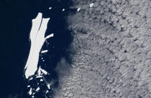 Największa góra lodowa świata wkrótce przestanie istnieć