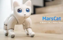 MarsCat to programowalne zwierzątko domowe