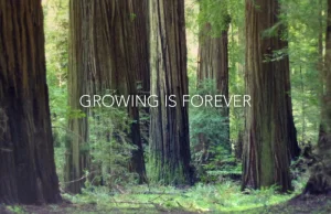 Growing is Forever