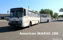 Jak wyglądał przegubowy Ikarus na rynek USA(Ikarus 286)?[RUS]