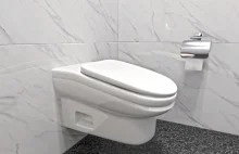 Zakrzywiona toaleta zwiększa produktywność pracownika