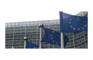 Komisja Europejska nakłada limity na karty graficzne